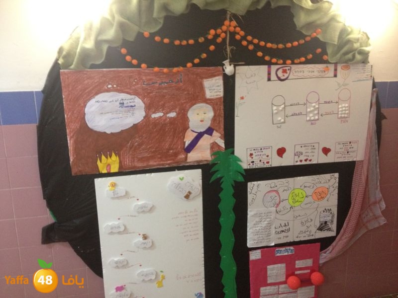 chemstery shamlea (6).jpg